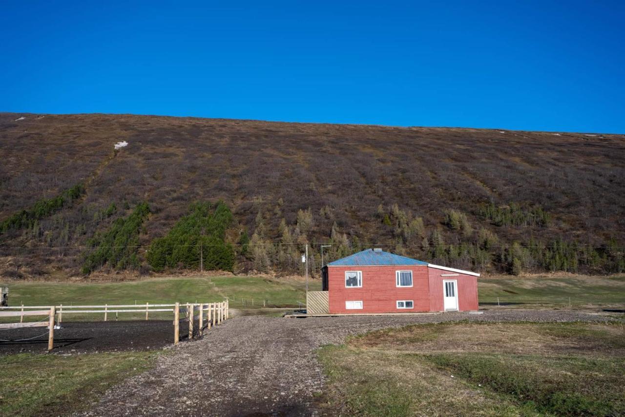 Sandhaugar Guesthouse Kiðagil Bagian luar foto